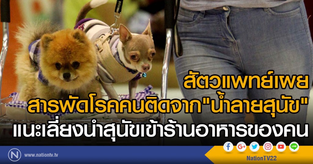 สัตวแพทย์เผย
สารพัดโรคคนติดจาก"น้ำลายสุนัข"
แนะเลี่ยงนำสุนัขเข้าร้านอาหารของคน สัตวแพทย์เผย
สารพัดโรคคนติดจาก"น้ำลายสุนัข"
แนะเลี่ยงนำสุนัขเข้าร้านอาหารของคน