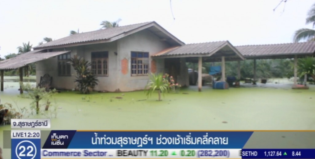 น้ำท่วมสุราษฎร์ เริ่มคลี่คลาย น้ำท่วมสุราษฎร์ เริ่มคลี่คลาย