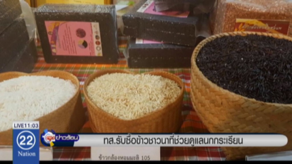 ทส.รับซื้อข้าวชาวนาที่ช่วยดูแลนกกระเรียน ทส.รับซื้อข้าวชาวนาที่ช่วยดูแลนกกระเรียน