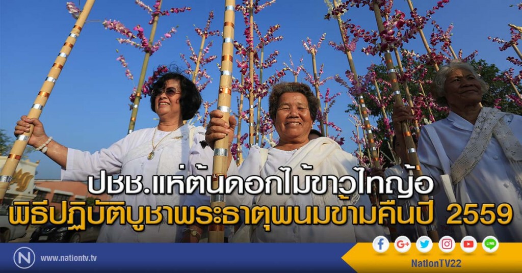 ปชช.แห่ต้นดอกไม้ขาวไทญ้อ พิธีปฏิบัติบูชาพระธาตุพนมข้ามคืนปี 2559 ปชช.แห่ต้นดอกไม้ขาวไทญ้อ พิธีปฏิบัติบูชาพระธาตุพนมข้ามคืนปี 2559
