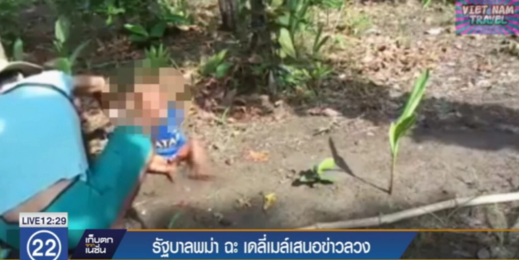 เมียนมาร์ฉะ "เดลี่เมล์" ปั้นน้ำเป็นตัว กล่าวหาทารุณโรฮิงญา
