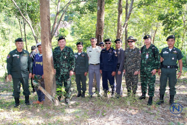 "บึงกาฬ" ทวงคืนผืนป่า 611 ไร่ 
หลังถูกบุกรุก-ปลูกต้นยางพารา