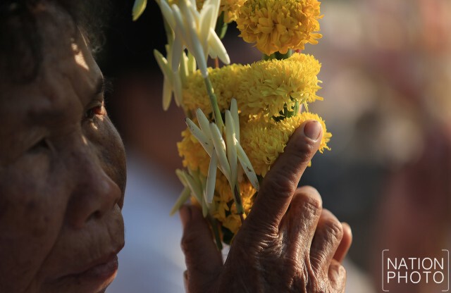 ปชช.แห่ต้นดอกไม้ขาวไทญ้อ พิธีปฏิบัติบูชาพระธาตุพนมข้ามคืนปี 2559