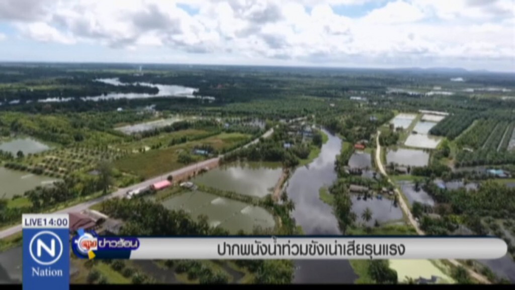 ปากพนังน้ำท่วมขังเน่าเสียรุนแรง ปากพนังน้ำท่วมขังเน่าเสียรุนแรง