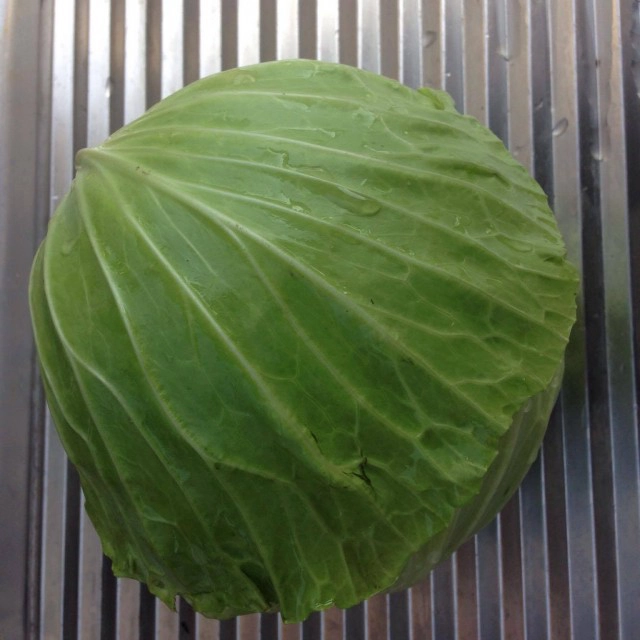 ครัวน้าคม : ต้มจืดกะหล่ำปลีซี่โครงหมูเห็ดหอม เมนูหน้าหนาวกะหล่ำปลีหวานกับซุปซี่โครงหมูร้อนๆ