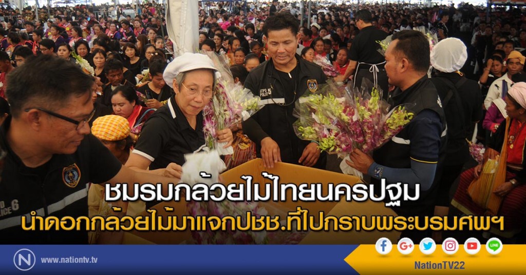 ชมรมกล้วยไม้ไทยนครปฐมนำดอกกล้วยไม้มาแจกปชช.ที่ไปกราบพระบรมศพฯ ชมรมกล้วยไม้ไทยนครปฐมนำดอกกล้วยไม้มาแจกปชช.ที่ไปกราบพระบรมศพฯ