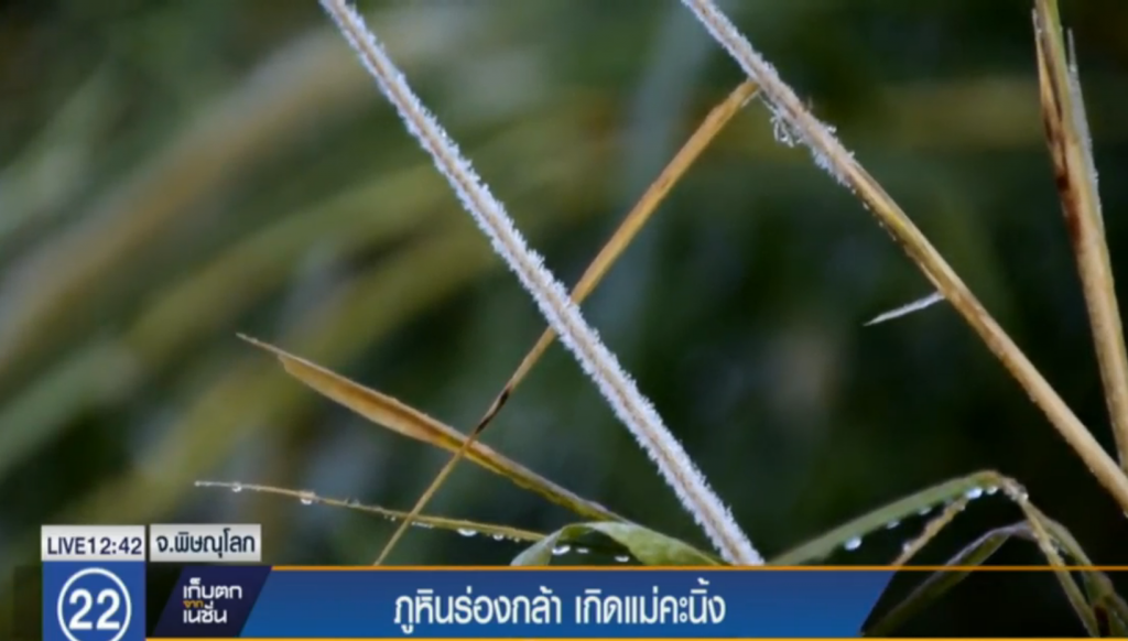 ภูหินร่องกล้า เกิดแม่คะนิ้ง ภูหินร่องกล้า เกิดแม่คะนิ้ง