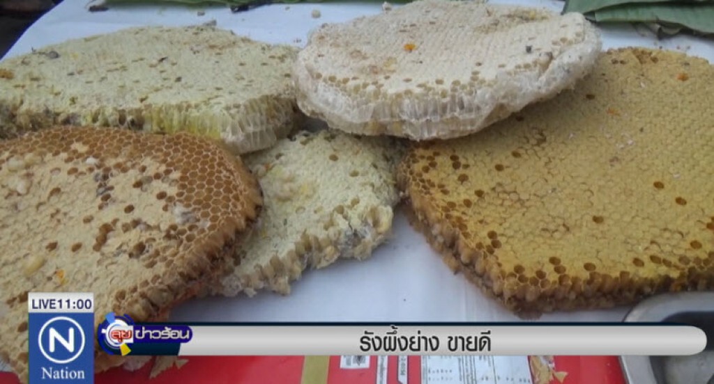 รังผึ้งย่าง ขายดี รังผึ้งย่าง ขายดี