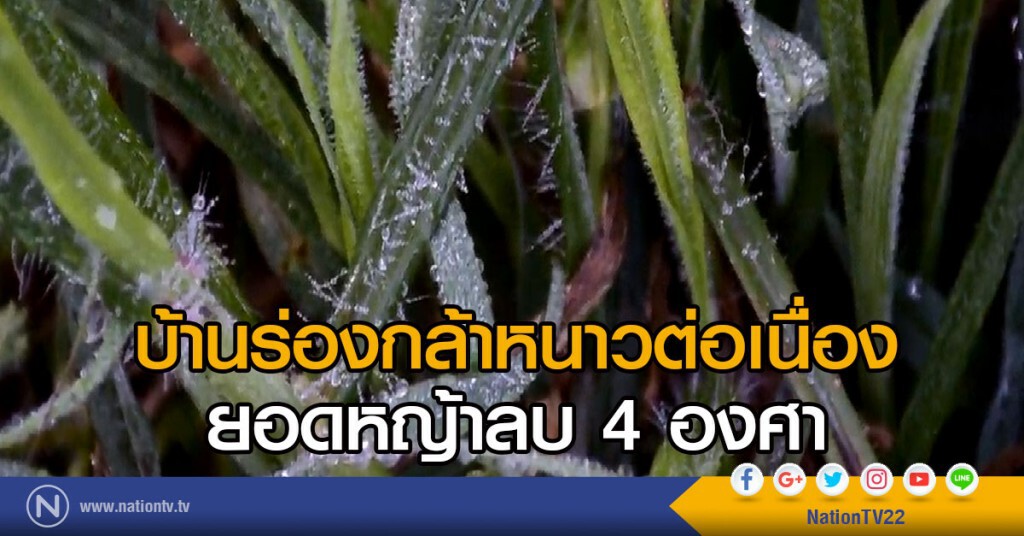บ้านร่องกล้าหนาวต่อเนื่องยอดหญ้าลบ 4 องศา