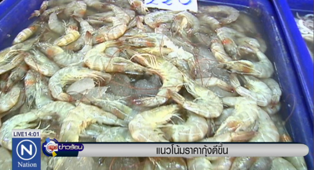 แนวโน้มราคากุ้งดีขึ้น แนวโน้มราคากุ้งดีขึ้น