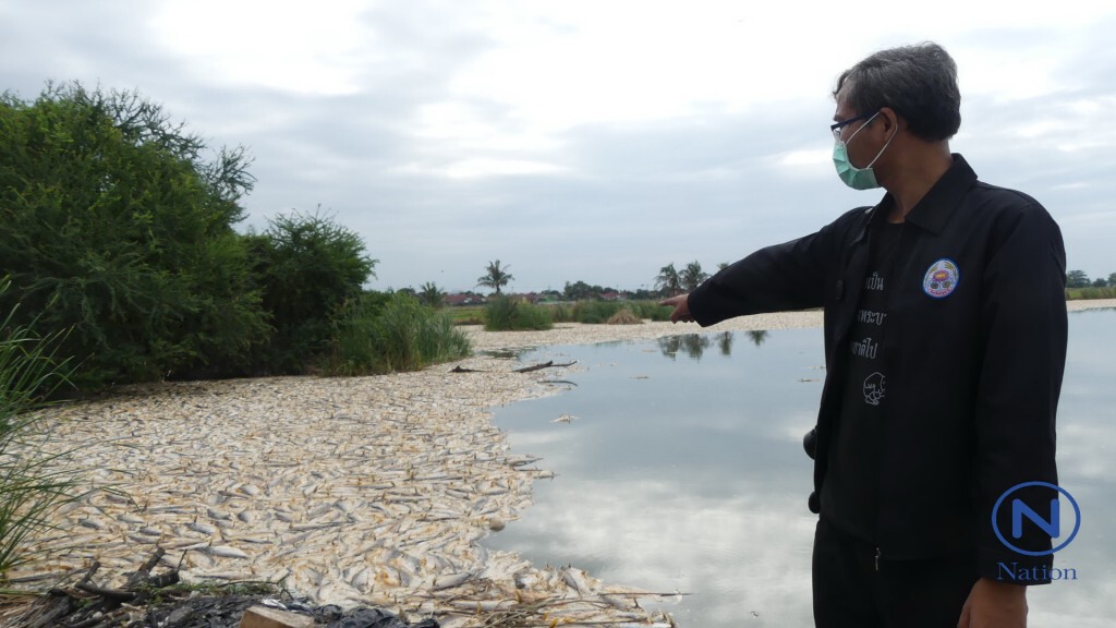 ชาวบ้านร้อง"ปลาตาย"ส่งกลิ่นเหม็น
เดือดร้อน 200 หลังคาเรือน