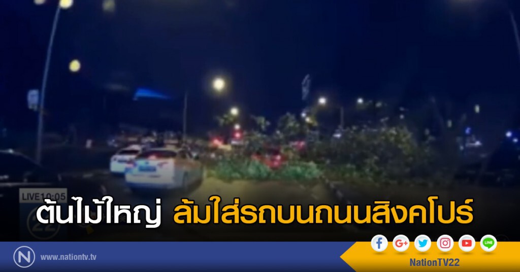 ต้นไม้ใหญ่ล้มใส่รถบนถนนสิงคโปร์ ต้นไม้ใหญ่ล้มใส่รถบนถนนสิงคโปร์