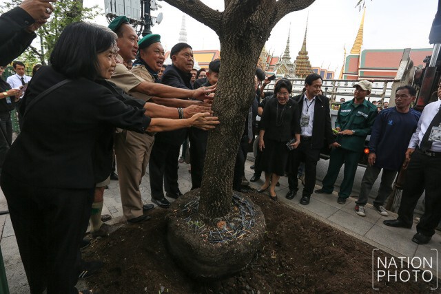 กทม. จับมือจิตอาสา ปลูกต้นมะขาม 37 ต้น ชดเชยต้นที่ตายไป