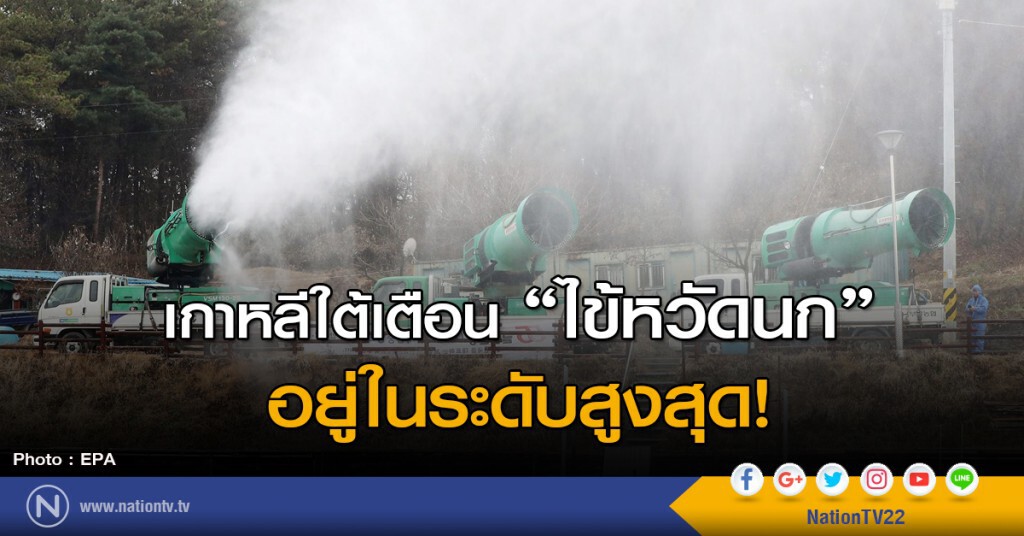 เกาหลีใต้เตือนไข้หวัดนก อยู่ในระดับสูงสุด! เกาหลีใต้เตือนไข้หวัดนก อยู่ในระดับสูงสุด!
