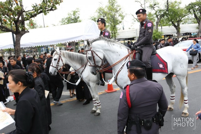 กองกำกับการสุนัขและม้าตำรวจ ตรวจตราความปลอดภัยรอบสนามหลวง