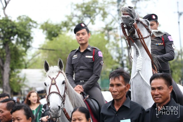 กองกำกับการสุนัขและม้าตำรวจ ตรวจตราความปลอดภัยรอบสนามหลวง