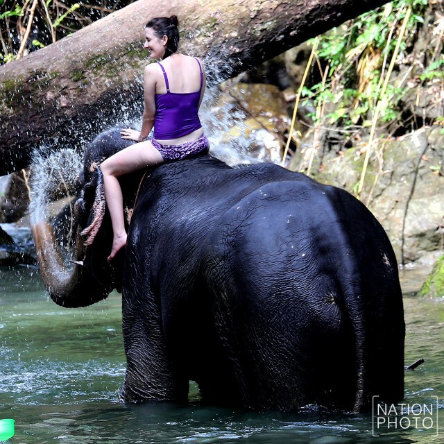 นทท.ขี่ช้างเที่ยวป่า