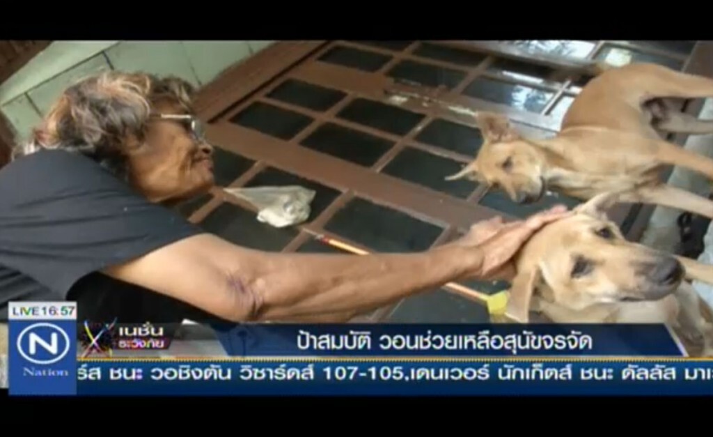 "ป้าสมบัติ" ฝืนสังขาร วอนช่วยเหลือหมาจรจัด
