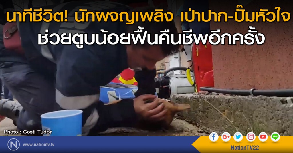 นาทีชีวิต นักผจญเพลิง เป่าปาก-ปั๊มหัวใจ ช่วยตูบน้อยฟื้นคืนชีพอีกครั้ง นาทีชีวิต นักผจญเพลิง เป่าปาก-ปั๊มหัวใจ ช่วยตูบน้อยฟื้นคืนชีพอีกครั้ง