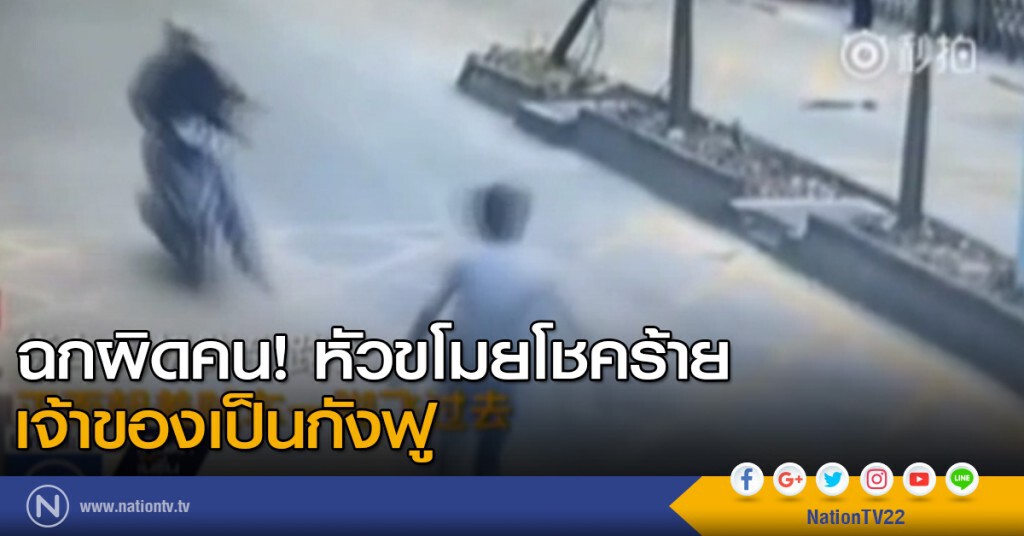 หัวขโมยโชคร้ายเจอกังฟู หัวขโมยโชคร้ายเจอกังฟู
