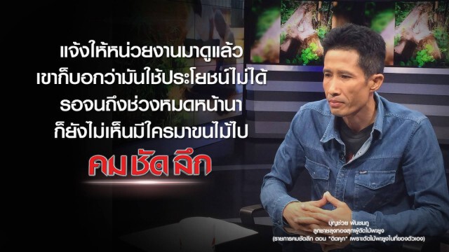 คม-ชัด-ลึก "ติดคุก" เพราะตัดไม้พะยูงในที่ของตัวเอง