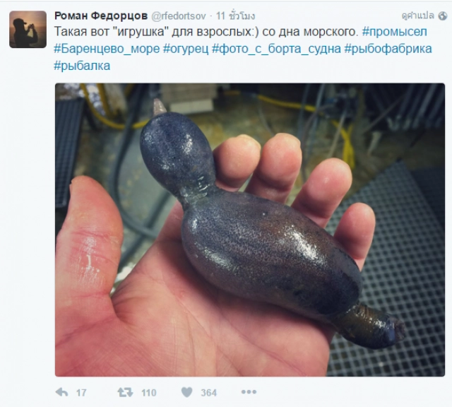 มันมีอยู่จริงหรือ?
ชาวประมงรัสเซีย ทวิตภาพ สัตว์แปลกใต้ทะเลลึก