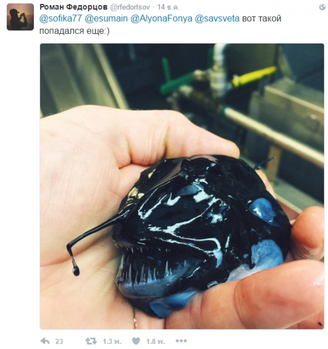 มันมีอยู่จริงหรือ?
ชาวประมงรัสเซีย ทวิตภาพ สัตว์แปลกใต้ทะเลลึก