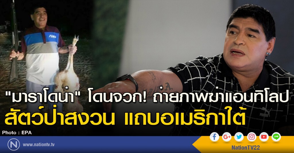 "มาราโดน่า" โดนจวก! ถ่ายภาพฆ่าแอนทิโลป สัตว์ป่าสงวน แถบอเมริกาใต้