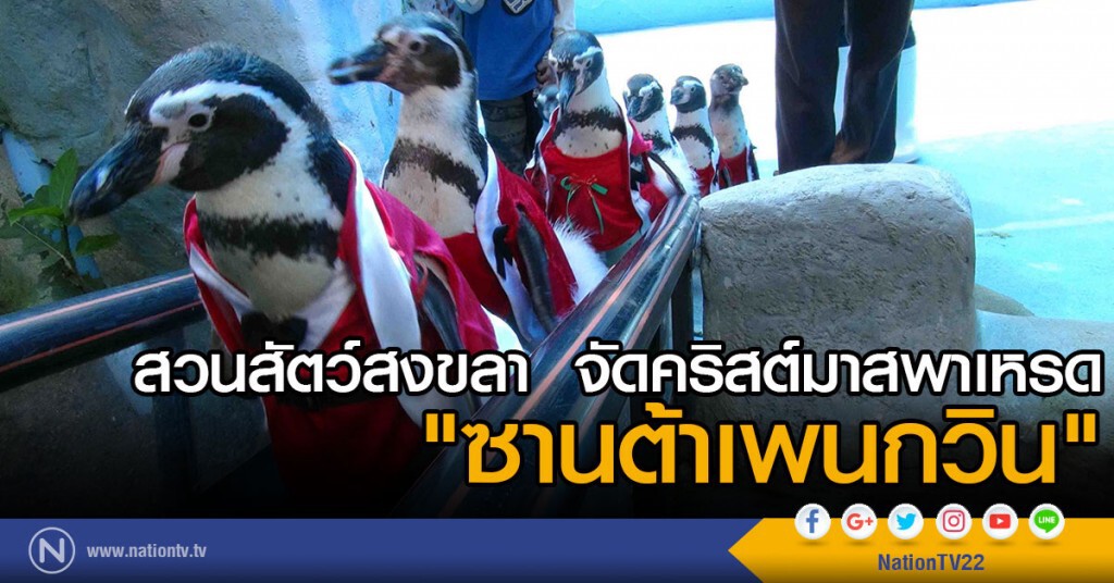 สวนสัตว์สงขลา  จัดคริสต์มาสพาเหรด 
"ซานต้าเพนกวิน"