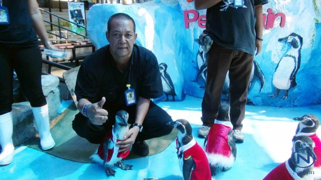 สวนสัตว์สงขลา  จัดคริสต์มาสพาเหรด 
"ซานต้าเพนกวิน"