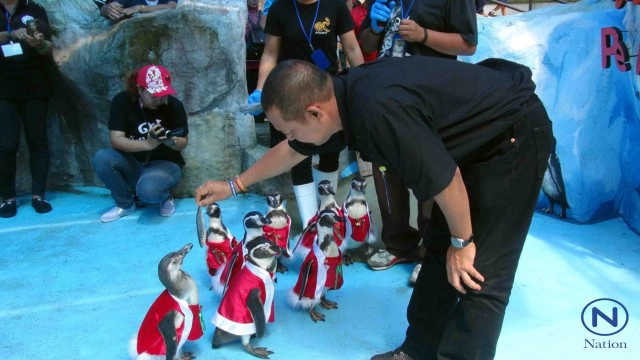 สวนสัตว์สงขลา  จัดคริสต์มาสพาเหรด 
"ซานต้าเพนกวิน"