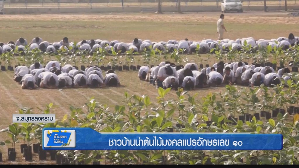 ชาวบ้านนำต้นไม้มงคลแปรอักษรเลข ๑๐ ชาวบ้านนำต้นไม้มงคลแปรอักษรเลข ๑๐