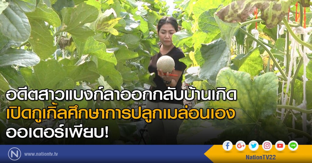 อดีตสาวแบงก์ลาออกกลับบ้านเกิด เปิดกูเกิ้ลศึกษาการปลูกเมล่อนเอง ขายดี