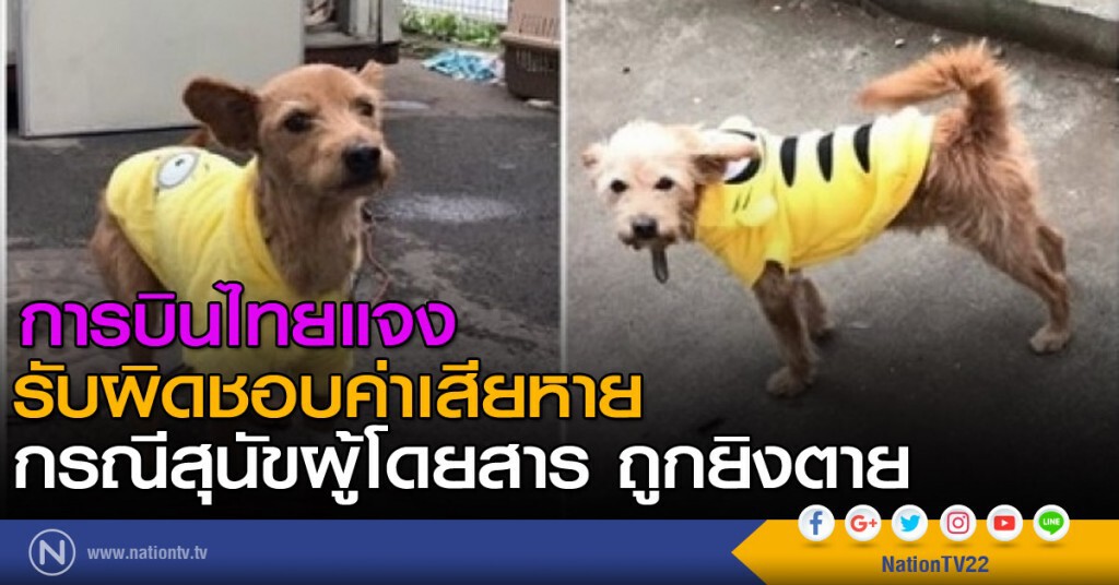 การบินไทยแจงรับผิดชอบค่าเสียหายกรณีสุนัขผู้โดยสาร ถูกยิงตาย การบินไทยแจงรับผิดชอบค่าเสียหายกรณีสุนัขผู้โดยสาร ถูกยิงตาย