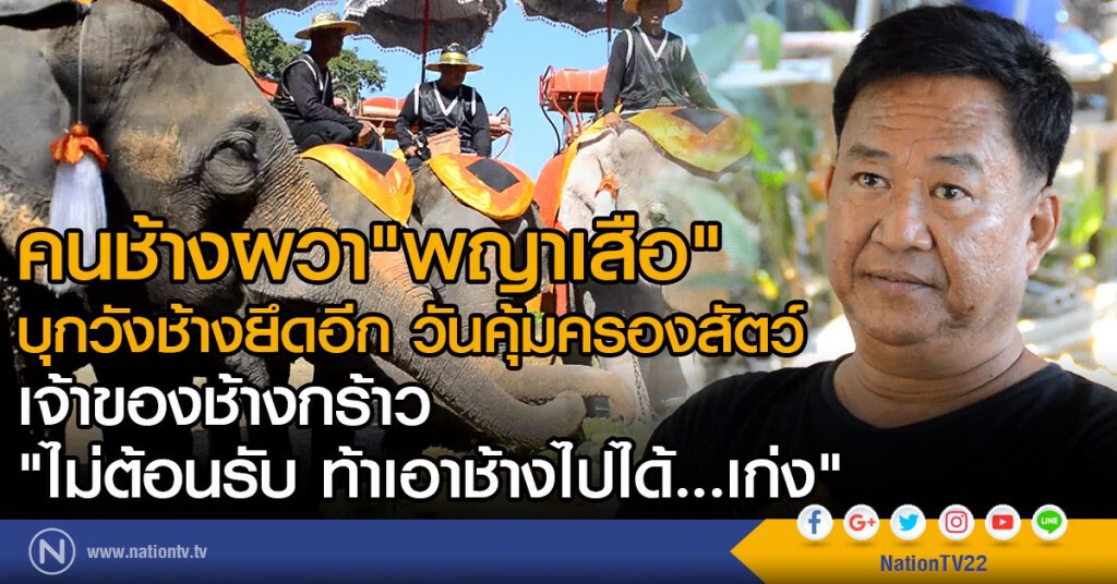 คนช้างผวา"พญาเสือ"บุกวังช้างยึดอีก เจ้าของช้างกร้าว "ไม่ต้อนรับ ท้าเอาช้างไปได้...เก่ง" คนช้างผวา"พญาเสือ"บุกวังช้างยึดอีก เจ้าของช้างกร้าว "ไม่ต้อนรับ ท้าเอาช้างไปได้...เก่ง"