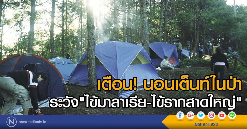 อุบลราชธานี- เตือนนอนเต็นท์ในป่า ระวัง"ไข้มาลาเรีย-ไข้รากสาดใหญ่"