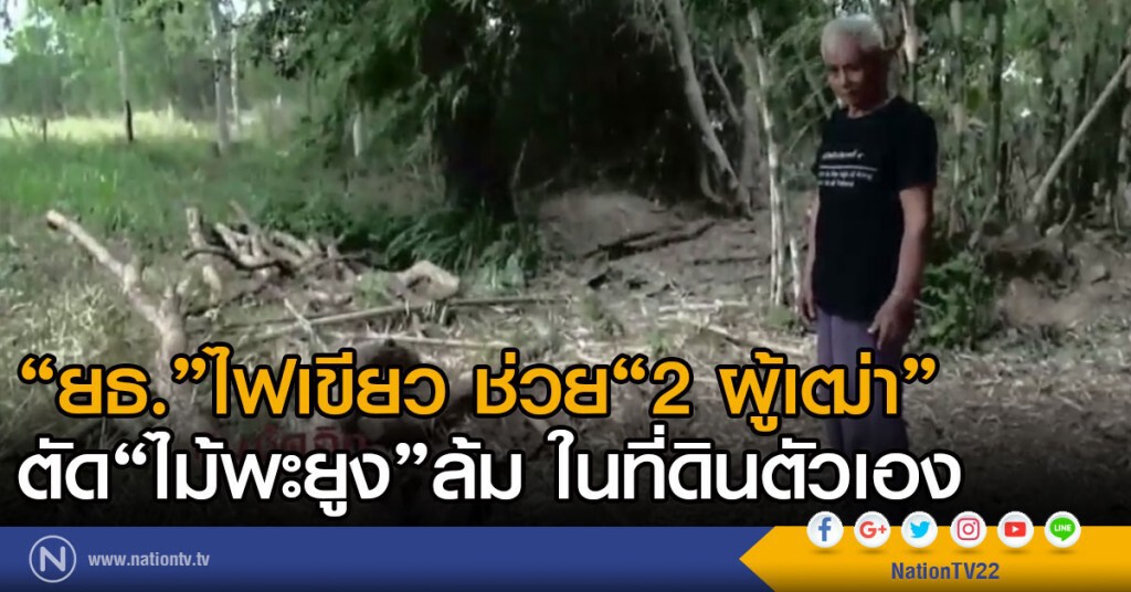 "ยธ."ไฟเขียว ช่วย"2 ผู้เฒ่า"ตัดไม้พะยูงล้มในที่ดินตัวเอง "ยธ."ไฟเขียว ช่วย"2 ผู้เฒ่า"ตัดไม้พะยูงล้มในที่ดินตัวเอง