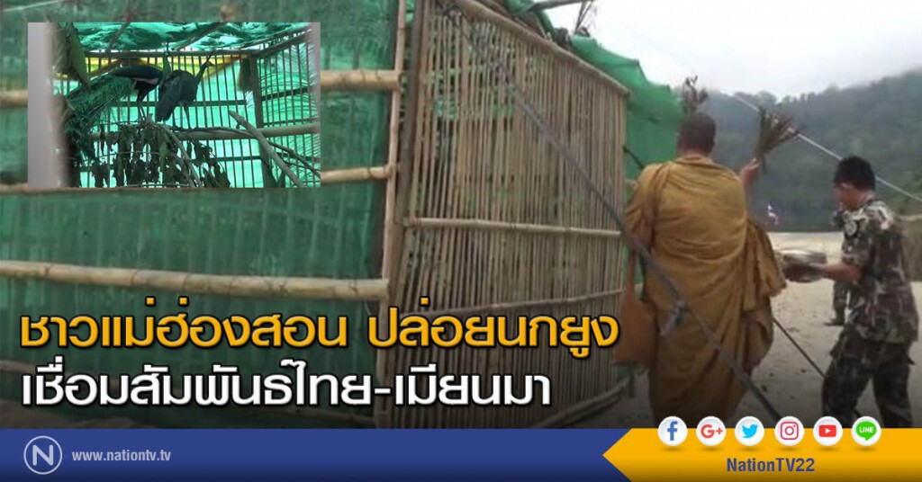 ชาวแม่ฮ่องสอน ปล่อยนกยูงเชื่อมสัมพันธ์ไทย-เมียนมา