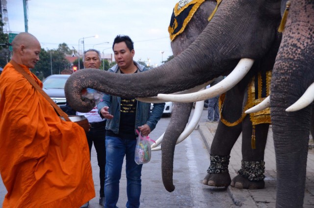 พ่อเมืองกรุงเก่าแต่งไทยใส่บาตรอยุธยามหามงคล