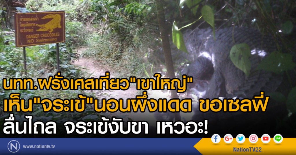 นทท.ฝรั่งเศส เที่ยว"เขาใหญ่"
เห็น"จระเข้"นอนผึ่งแดด ขอเซลฟี่
ลื่นไถล จระเข้งับขา เหวอะ! นทท.ฝรั่งเศส เที่ยว"เขาใหญ่"
เห็น"จระเข้"นอนผึ่งแดด ขอเซลฟี่
ลื่นไถล จระเข้งับขา เหวอะ!