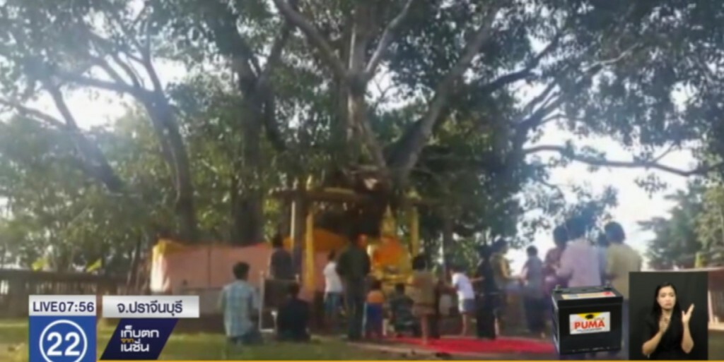พุทธศาสนิกชนกว่าหมื่น นมัสการต้นพระศรีมหาโพธิ์ เพื่อสิริมงคล