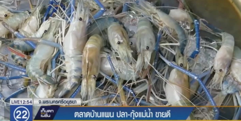 ตลาดบ้านแพน ปลา-กุ้งแม่น้ำขายดี เตรียมดันเป็นแหล่งท่องเที่ยววิถีไทย