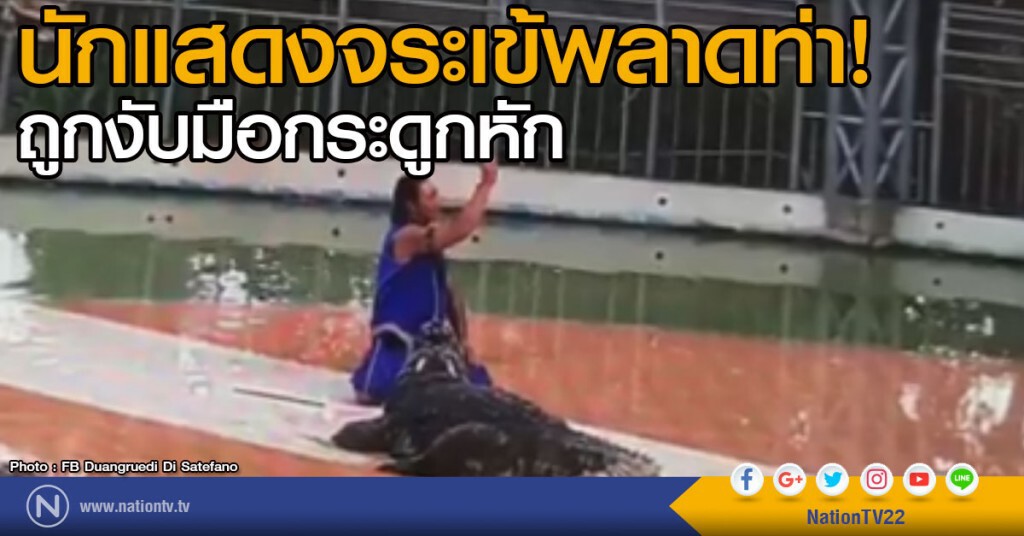 นักแสดงจระเข้พลาดท่า
ถูกงับมือกระดูกหัก นักแสดงจระเข้พลาดท่า
ถูกงับมือกระดูกหัก