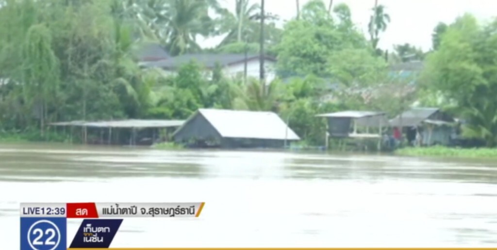 สุราษฎร์....ยังเฝ้าระวังระดับน้ำในแม่น้ำตาปี สุราษฎร์....ยังเฝ้าระวังระดับน้ำในแม่น้ำตาปี