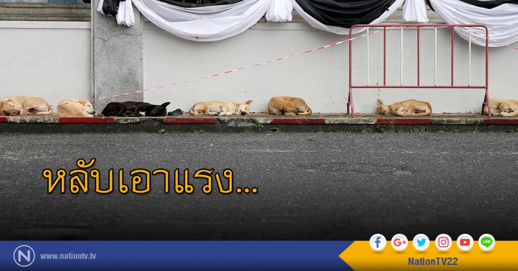 หลับเอาแรง... หลับเอาแรง...