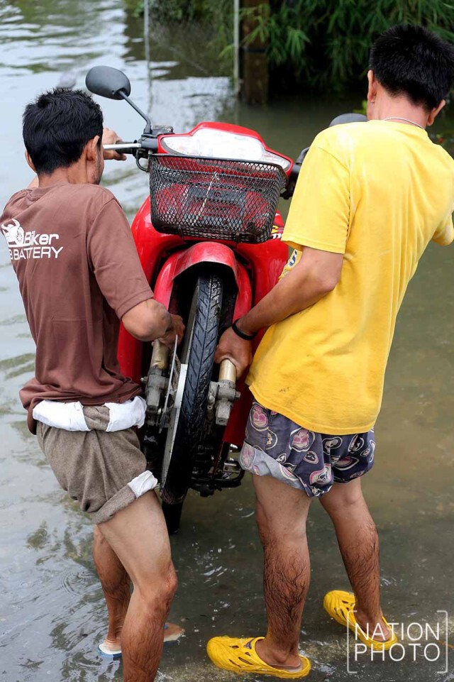 ชาวปากพนัง เร่งอพยพสัตว์เลี้ยง-ทรัพย์สินขึ้นสู่ที่ปลอดภัย