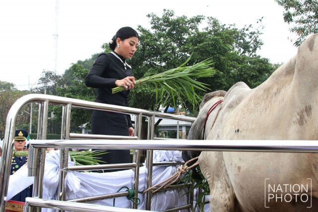 พระเจ้าหลานเธอ พระองค์เจ้าสิริวัณณวรีนารีรัตน์ เสด็จทรงปล่อยพันธุ์ปลา เนื่องในวันคล้ายวันประสูติ
