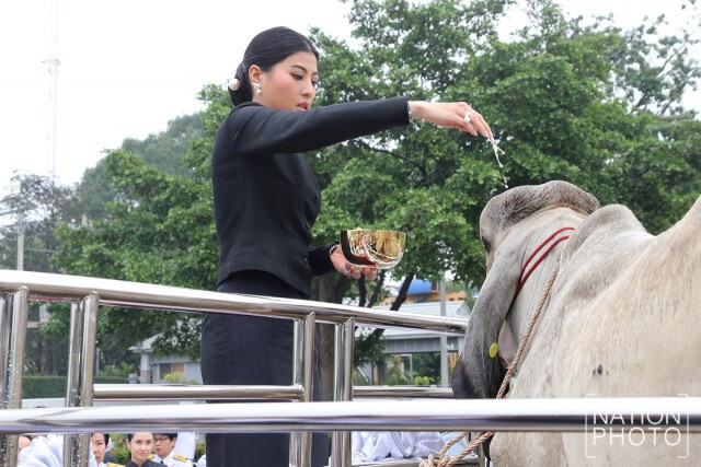 พระเจ้าหลานเธอ พระองค์เจ้าสิริวัณณวรีนารีรัตน์ เสด็จทรงปล่อยพันธุ์ปลา เนื่องในวันคล้ายวันประสูติ