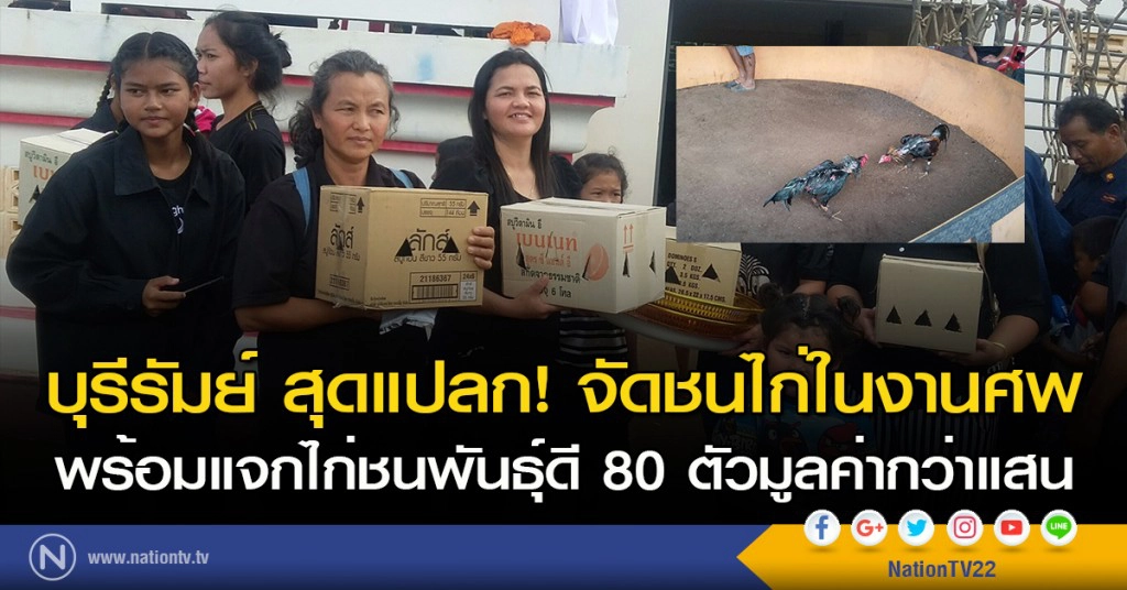 บุรีรัมย์ สุดแปลก! จัดชนไก่ในงานศพ พร้อมแจกไก่ชนพันธุ์ดี 80 ตัวมูลค่ากว่าแสน