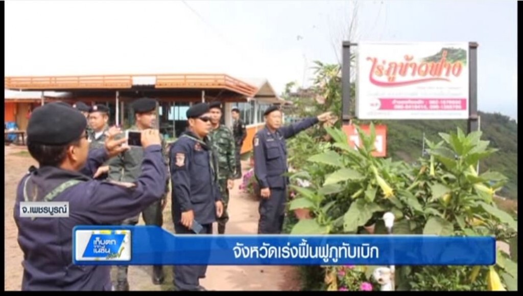 ตะลอนทั่วทิศ - เพชรบูรณ์เร่งฟื้นฟูภูทับเบิก ตะลอนทั่วทิศ - เพชรบูรณ์เร่งฟื้นฟูภูทับเบิก